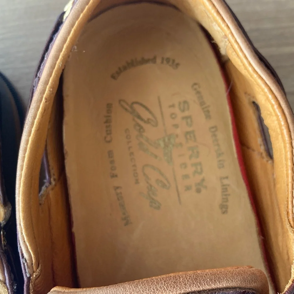 Sperry Men's Dark Brown Leather Boat Shoes